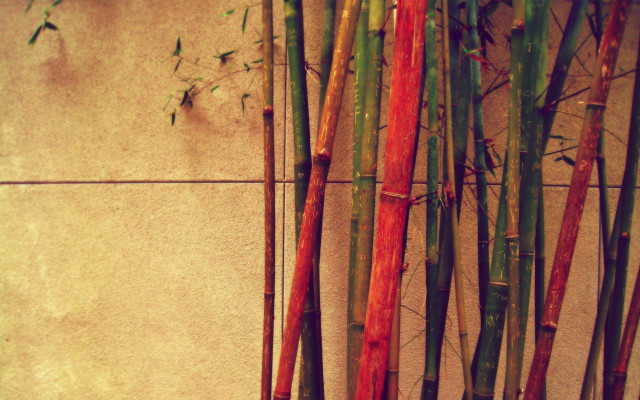 Bamboo sticks wall tile background free wallpaper - medium preview image