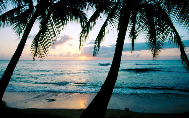 Palm trees beach sunset boat free wallpaper - medium preview image