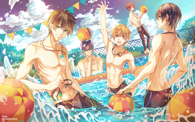 Pool party people ball net free wallpaper - medium preview image