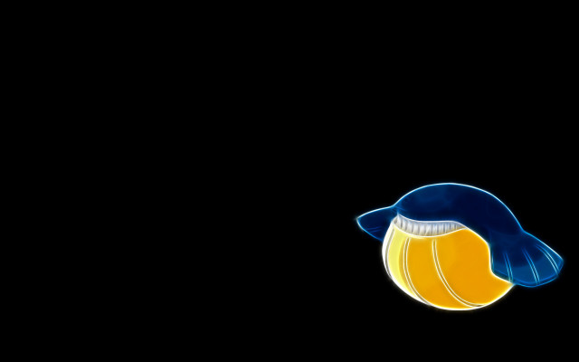 Bird blue beak yellow beak free wallpaper - medium preview image