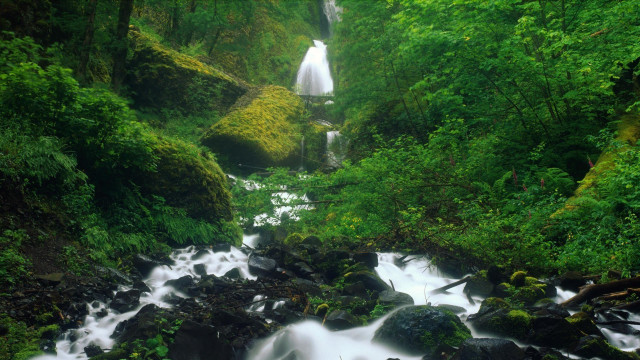 Waterfall forest rocks trees stream #6 free wallpaper - medium preview image