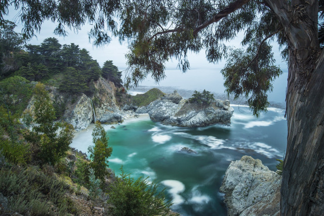 Cliff side water view trees free wallpaper - medium preview image