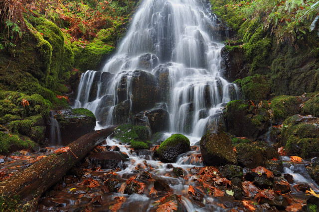 Waterfall forest autumn leaves campfire free wallpaper - medium preview image