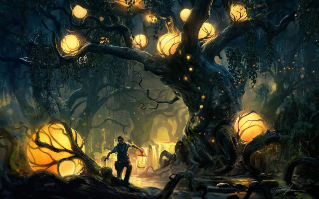 Man forest tree lights lantern free wallpaper - medium preview image