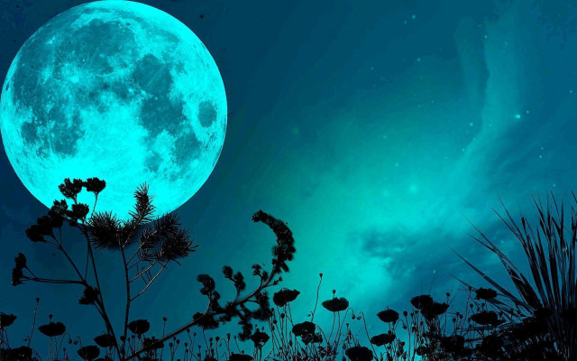 Full moon field flowers blue free wallpaper - medium preview image