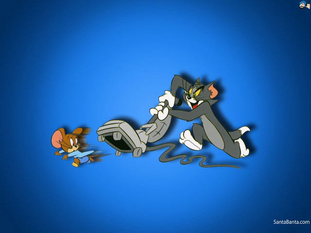Cartoon cat mouse fight blue free wallpaper - medium preview image