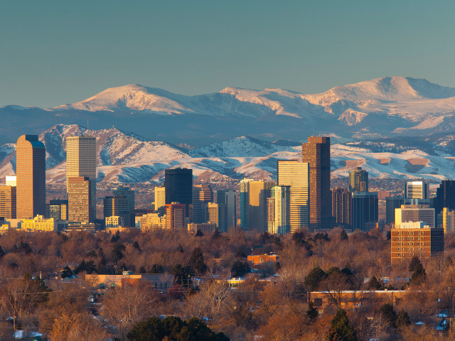 City mountain snow covered trees free wallpaper - medium preview image