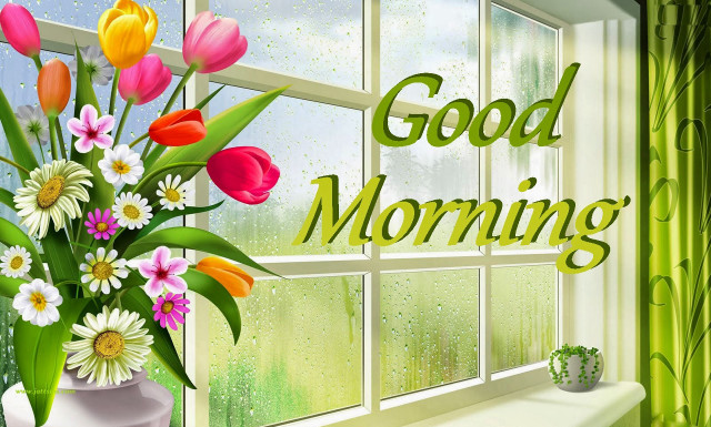 Vase flowers window sill good free wallpaper - medium preview image
