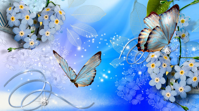 Blue background white flowers butterflies #3 free wallpaper - medium preview image