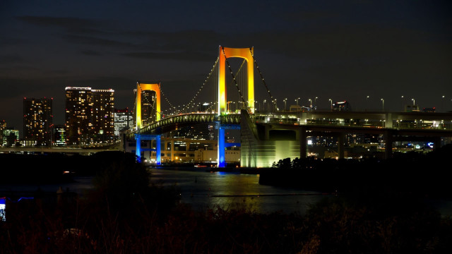 Bridge night city river lights free wallpaper for desktop - medium preview image