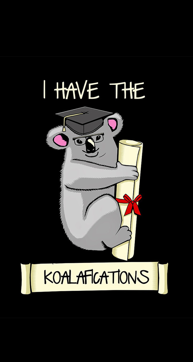 Koala holding scroll i have free wallpaper - medium preview image