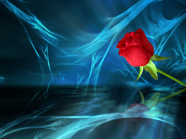 Red rose blue surface water free wallpaper - medium preview image