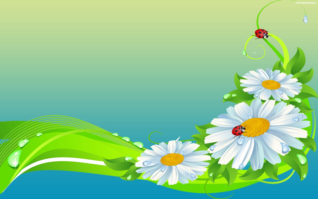 Green white daisies ladybugs leaf free wallpaper - medium preview image
