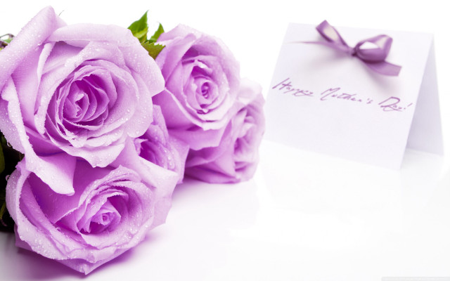 Purple roses bouquet card bow #2 free wallpaper - medium preview image