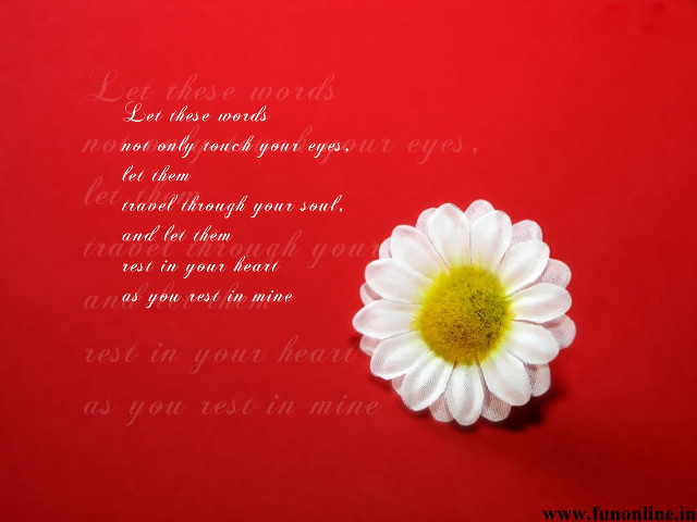 White flower yellow center red free wallpaper - medium preview image