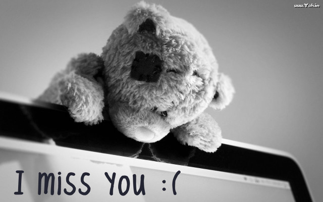 Teddy bear keyboard i miss free wallpaper for desktop - medium preview image