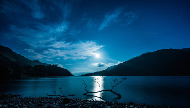 Tree branch water night full free wallpaper - medium preview image