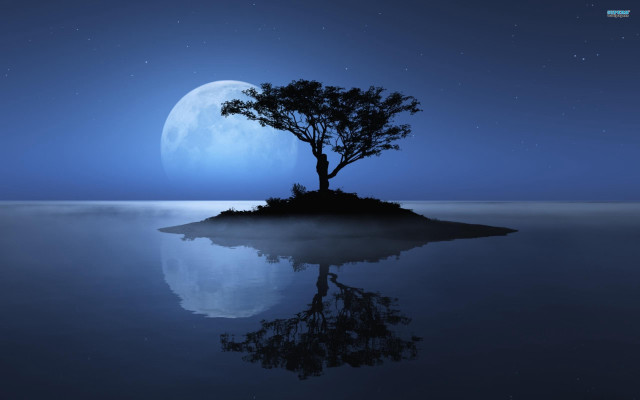 Tree island ocean night full #4 free wallpaper - medium preview image