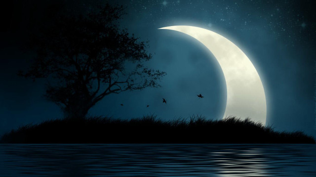 Night moon tree hill water free wallpaper - medium preview image