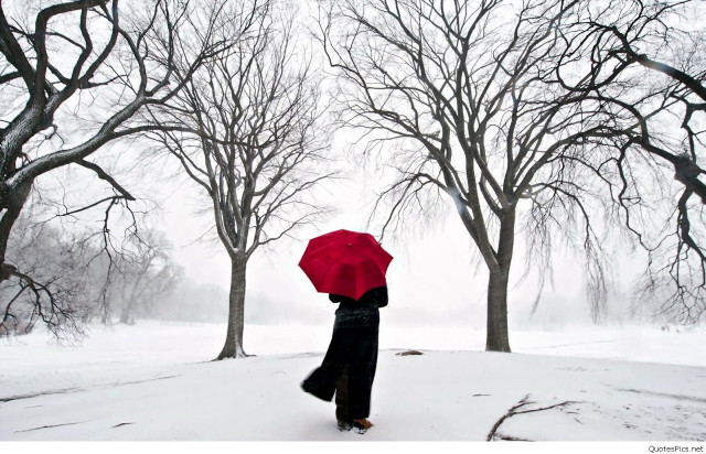 Person walking snow red umbrella free wallpaper - medium preview image