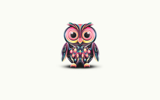 Colorful owl white surface background free wallpaper - medium preview image