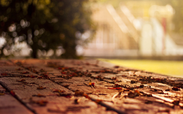 Wooden table leaves building background free wallpaper - medium preview image