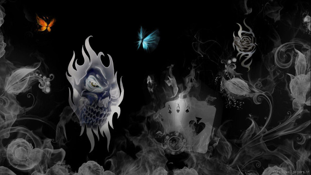 Black background white owl butterfly free wallpaper - medium preview image
