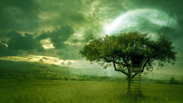 Tree house field ladder cloudy free wallpaper - medium preview image