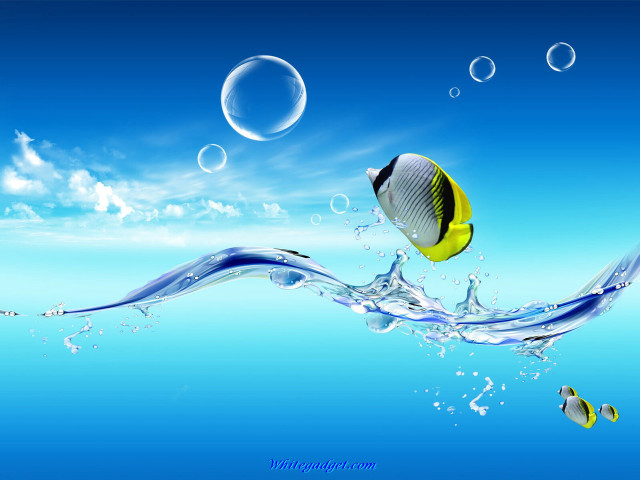 Fish swimming ocean bubbles underwater #5 free wallpaper - medium preview image