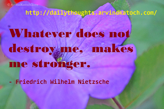 Purple flower quote friedrich says free wallpaper - medium preview image