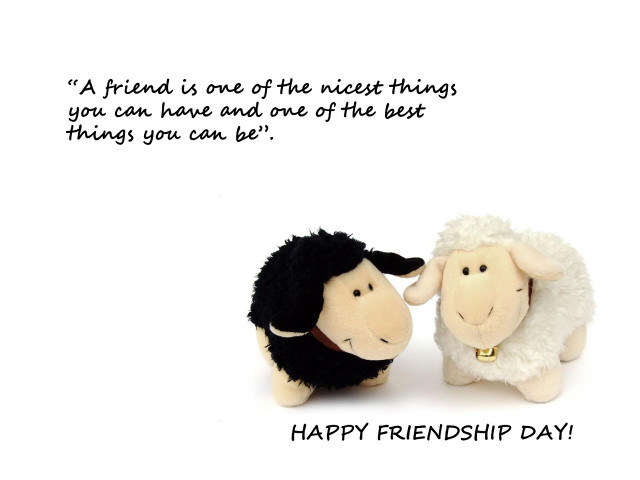 Stuffed sheep facing happy friend free wallpaper - medium preview image