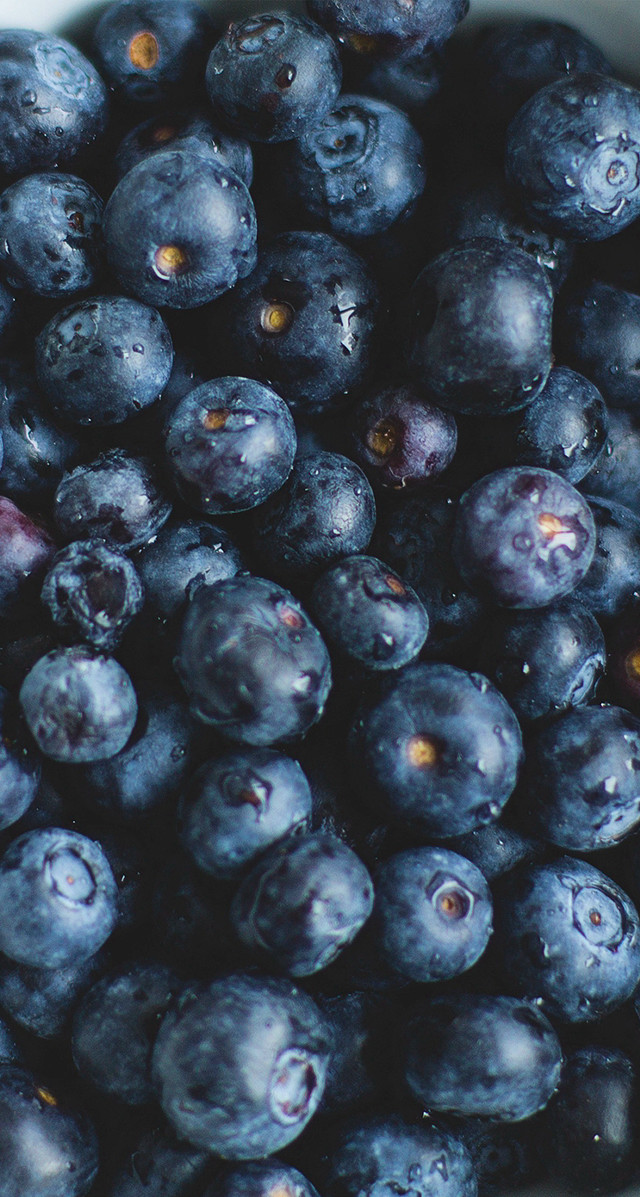 Blueberries water droplets macro photorealism #2 free wallpaper - medium preview image