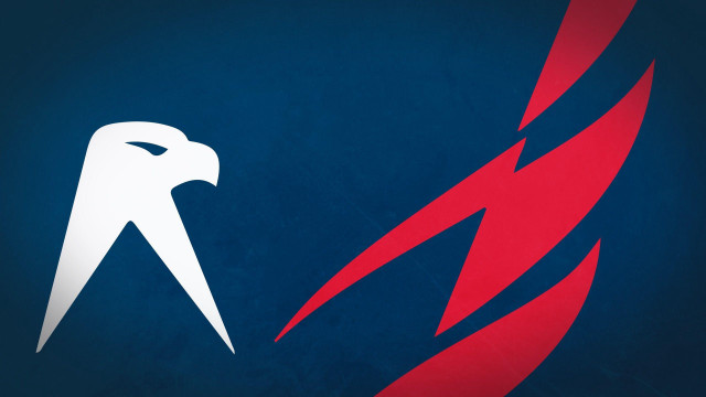 Red white bird blue background free wallpaper - medium preview image