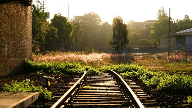 Train track building trees foreground free wallpaper - medium preview image