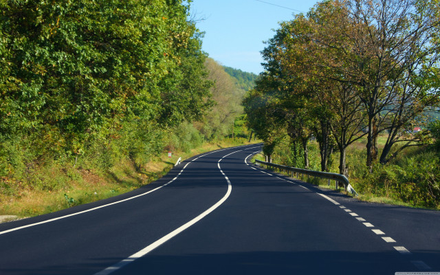 Curved road trees sign middle free wallpaper - medium preview image
