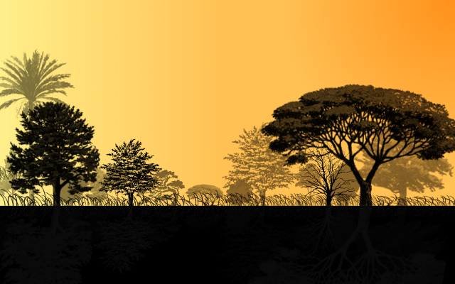 Trees field sunset yellow sky free wallpaper - medium preview image