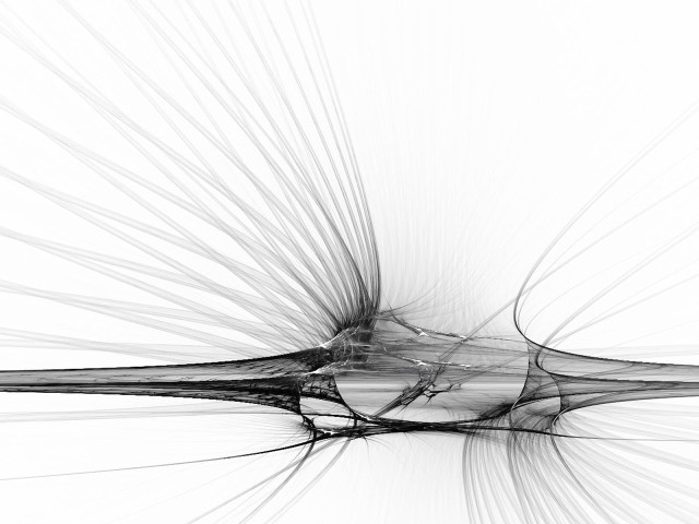 Black white bird long feathers free wallpaper - medium preview image