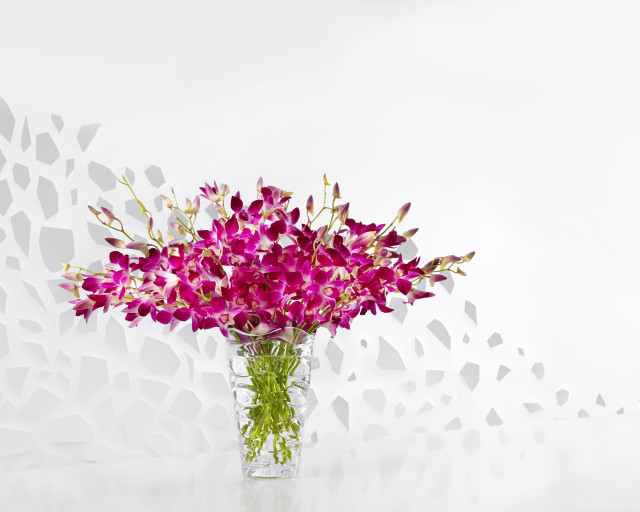 Vase purple flowers table broken free wallpaper - medium preview image