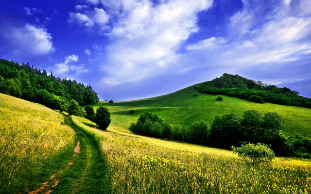 Grassy field path hill trees free wallpaper - medium preview image