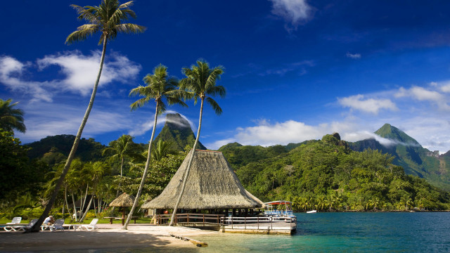 Hut beach palm trees boat free wallpaper - medium preview image