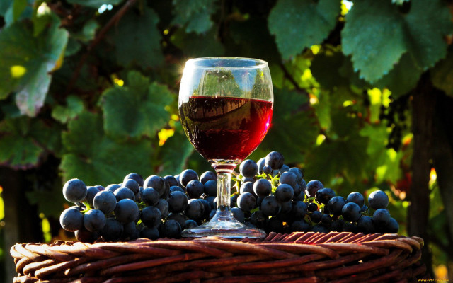 Wine grapes basket vine blurry free wallpaper - medium preview image