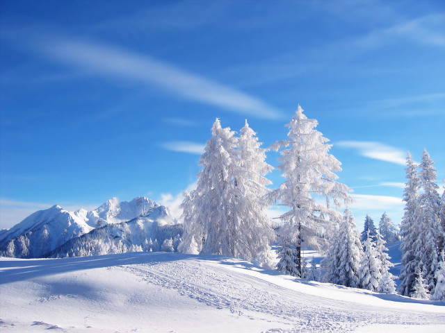 Snowy landscape trees mountains blue free wallpaper - medium preview image