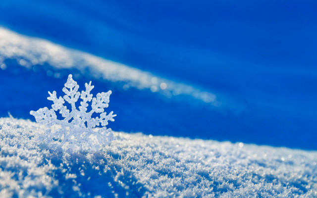 Snowflake blue background white snowflakes #2 free wallpaper - medium preview image