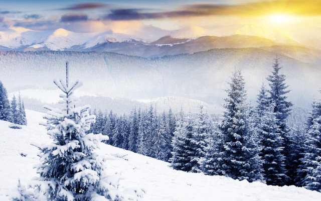Snowy mountain pine tree sunset free wallpaper - medium preview image