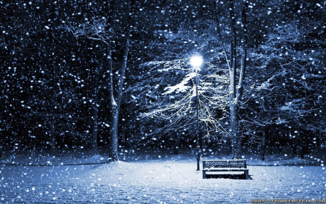Bench snowy park night streetlight #5 free wallpaper - medium preview image