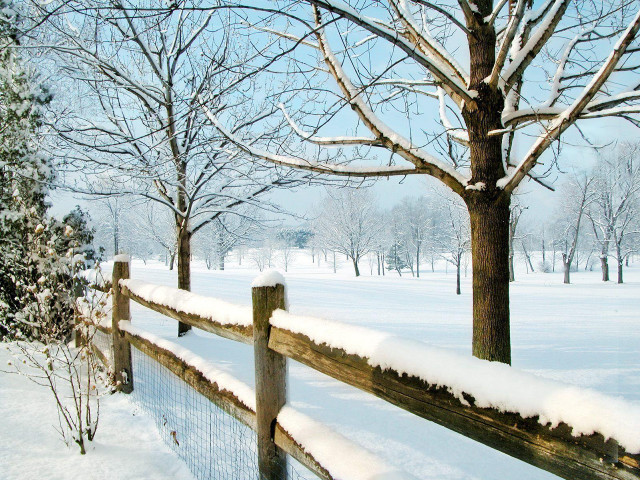 Fence snow tree background snow #2 free wallpaper - medium preview image
