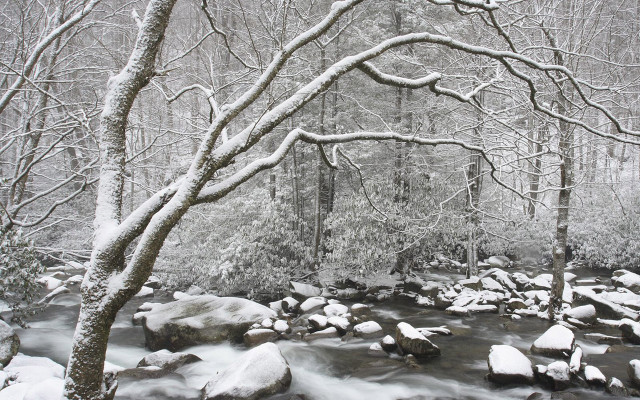 Snowy stream forest rocks ice free wallpaper - medium preview image