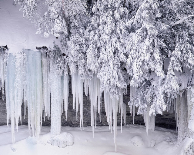 Trees ice icicles snow river free wallpaper - medium preview image