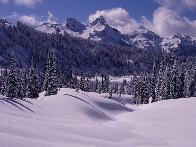 Snowy mountain trees snow blue free wallpaper - medium preview image
