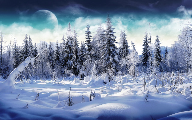 Snowy landscape trees moon sky free wallpaper - medium preview image
